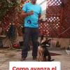 Educación Y Adiestramiento Canino