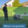 Educación Y Adiestramiento Canino