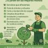 Raiz Y Hoja