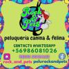 Contactos
