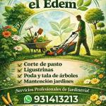 Jardinería El Edem