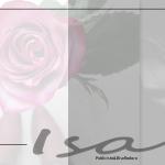 Diseñadora Gráfica Diseñadora Gráfica