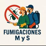 Fumigaciones Mys Fumigaciones Mys