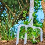 Fernando Vega Fernando Vega