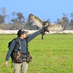 Mitchel Santibañez Santibañez Mitchel Santibañez Santibañez