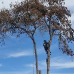 Jean Fabriga Fabriga Fuentes