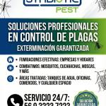 Control De Plagas Symbiotic Pest