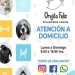 Yaneth Muñoz  Ojeda