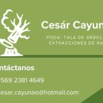 Cesar Cayunao Cesar Cayunao
