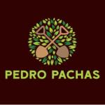 Pedro Pachas