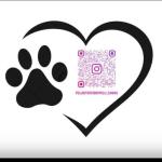 Peluditos Tobby Peluquería Canina Comercial Peluditos Tobby Peluquería Canina Comercial