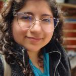 Javiera Navarrete Rojas