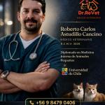 Roberto Astudillo Cancino