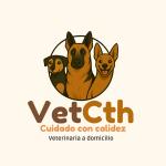 Vetcth