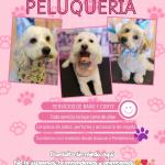 Colita Feliz Peluquería